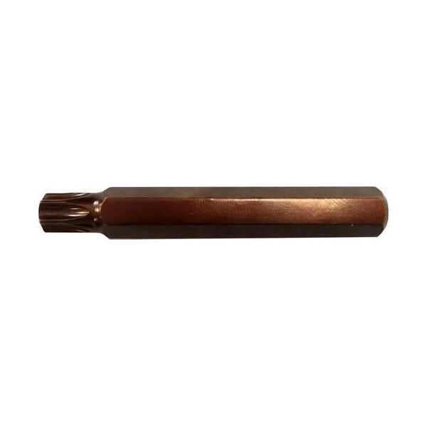 Forsage Bit TORX T25x10mm L-75mm