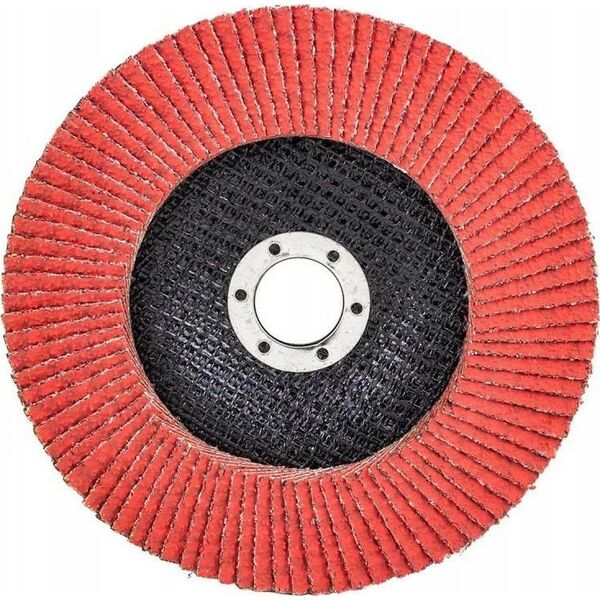 Rockforce Tarcza szlifierska listkowa lamelkowa 150x22.2mm P40