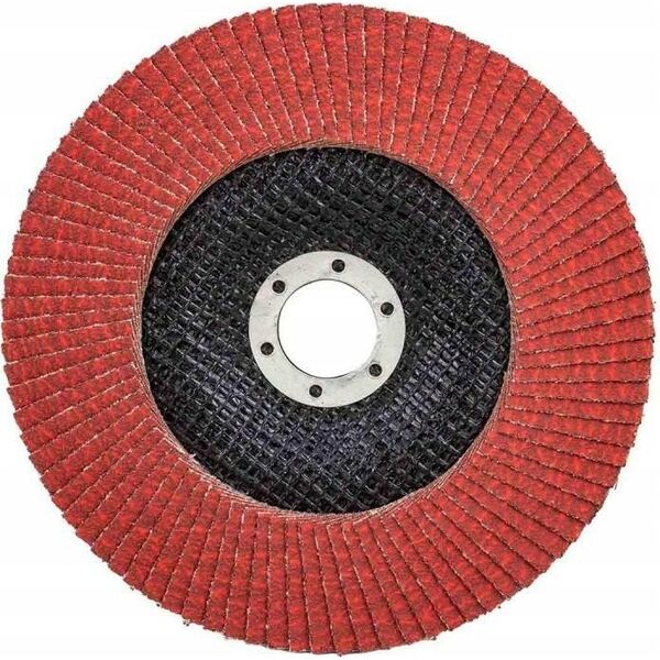 Rockforce Tarcza szlifierska listkowa lamelkowa 150x22.2mm P80