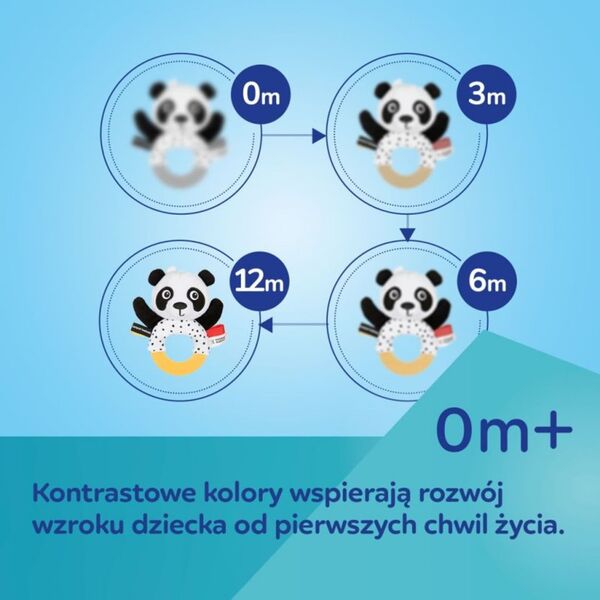 Canpol Interakt. sens. zab. leniwiec