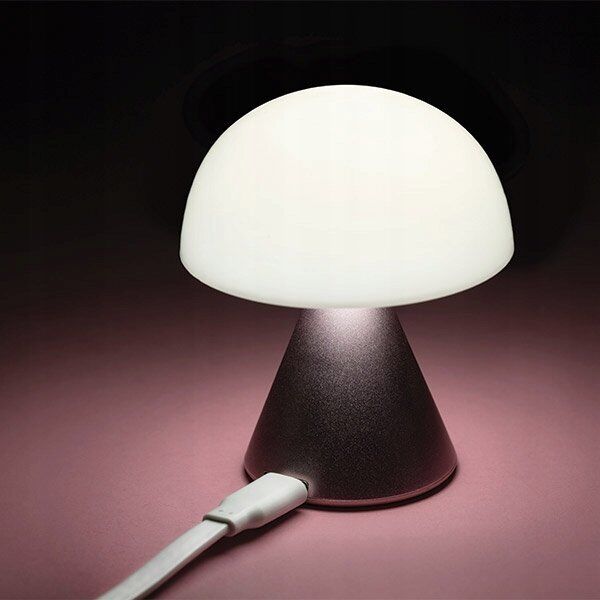 Lampka biurkowa Lexon Lexon Mina Mini LED Lamp pink/pink LH60MLP
