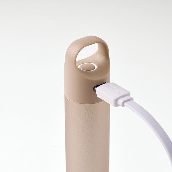 Lexon Lexon Nomaday UV Straw Reusable Straw with UV Disinfection Function Gold/LL147D