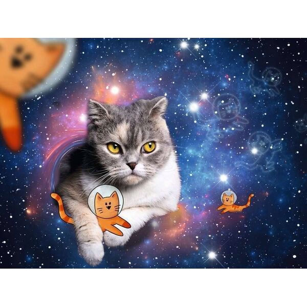 Brio Ravensburger - Cats In Space 1500p - (10217439) /Puzzles /Multi