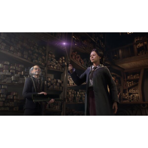 Warner Bros Hogwarts Legacy PS5 - PlayStation 5