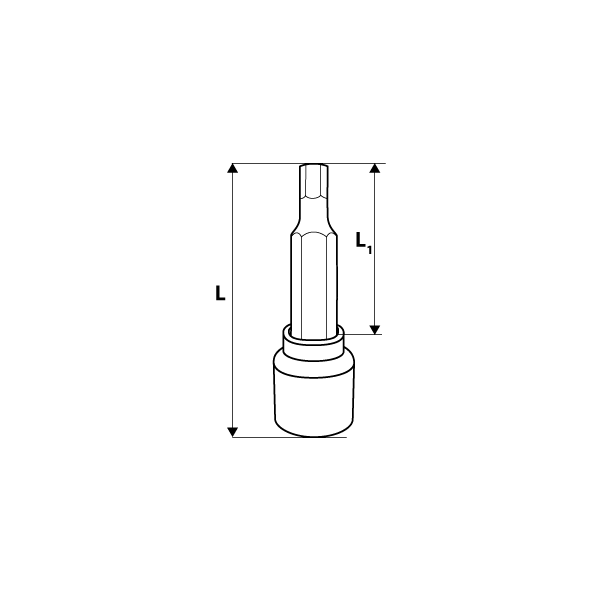 Neo Nasadka trzpieniowa imbusowa hex 1/2" H5 x 100mm długa (08-780)