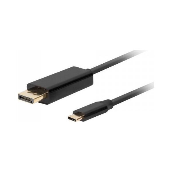 Kabel USB Lanberg USB-C - DisplayPort 1 m Czarny (CA-CMDP-10CU-0010-BK)