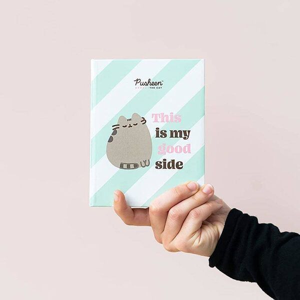 Pusheen Pusheen - Album fotograficzny na 100 zdjęć 10x15 cm