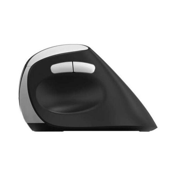 Mysz Rapoo RAPOO MYSZ ERGONOMICZNA BEZPRZEWODOWA EV250