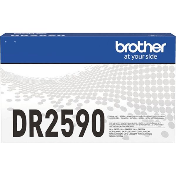 Brother Bęben  (DR2590)