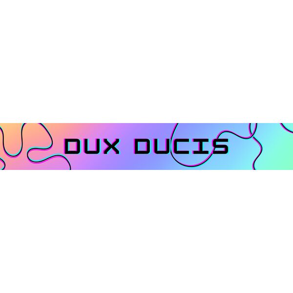 Etui Dux Ducis Skin X Pro na iPhone 16 Pro z MagSafe i klapką - czarne