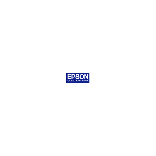 Epson Papier fotograficzny do drukarki A4 (C13S041342)