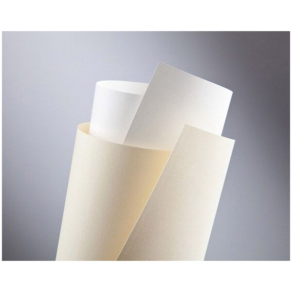 Argo Papier ozdobny Galeria Papieru laid kremowy A4 kremowy 120g 50 ark