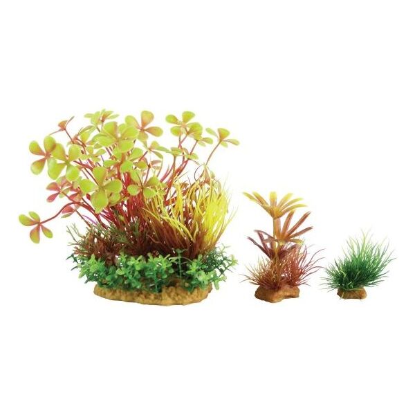 Zolux Dekoracja roślinna PlantKit Wiha model 4 (352143)