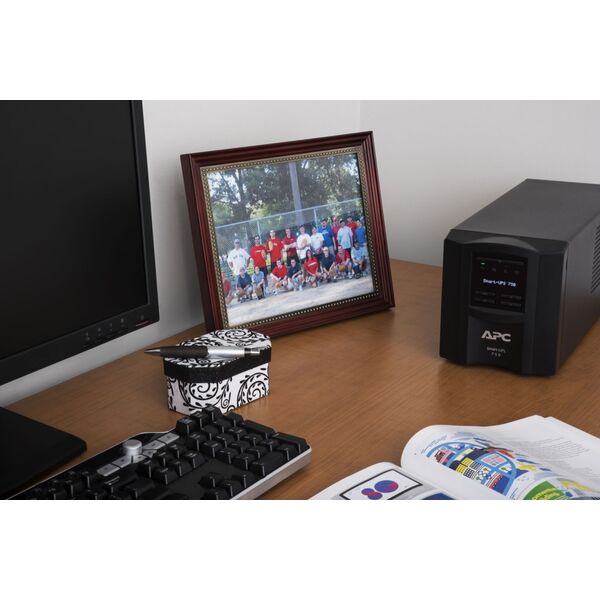 UPS APC Smart-UPS (SMT750IC)