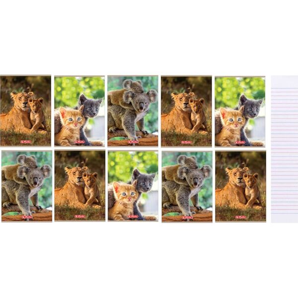 Herlitz Zeszyt A5/32K, linia podwójna, Animals (10szt)