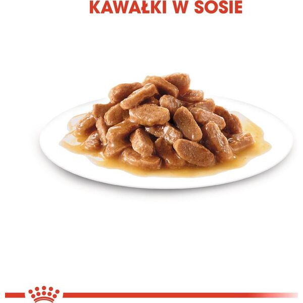 Royal Canin Karma SHN Mini Puppy w sosie 12x85g