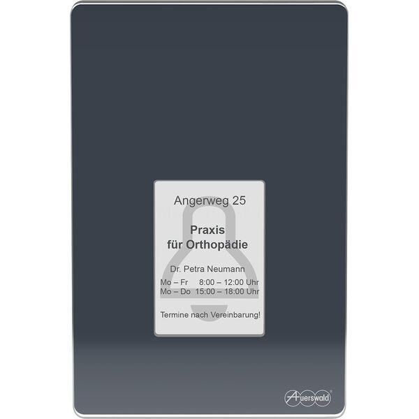 Auerswald AUERSWALD TFS-Dialog 400, 4 Taster, anthrazit