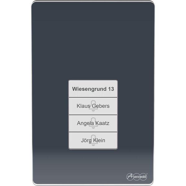 Auerswald AUERSWALD TFS-Dialog 400, 4 Taster, anthrazit