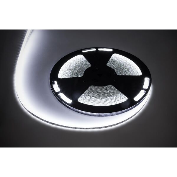 Taśma LED Rebel Sznur diodowy 25m Rebel (1500x5050 SMD) zimny biały wodoodporny, 12V