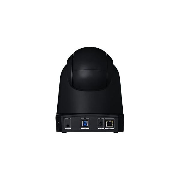 Kamera internetowa AVer DL30