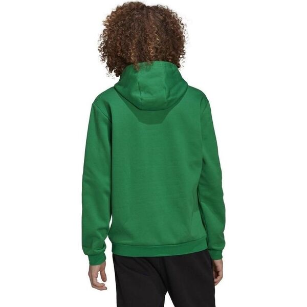 Adidas adidas Entrada 22 Sweatshirt HI2141 Zielone M