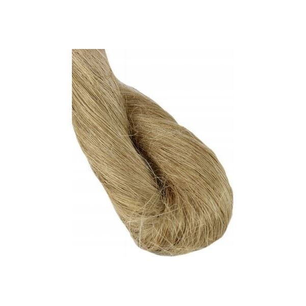 Bisan Pakuły lniane Bisan B870711 200g beżowe