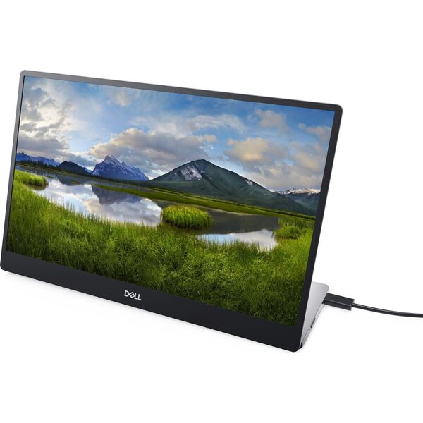 Monitor Dell Przenośny P1424H (210-BHQQ)