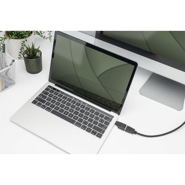 Adapter USB Digitus Adapter graficzny USB Typ C na HDMI 4K 30Hz