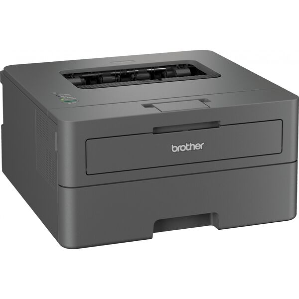 Drukarka laserowa Brother HL-L2402D (HLL2402DYJ1)