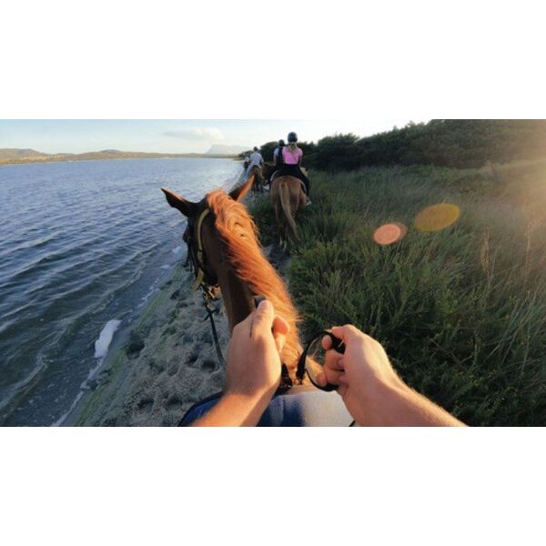 GoPro GoPro Head Strap 2.0