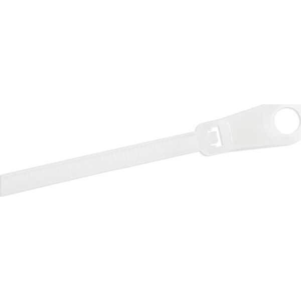 Organizer StarTech 100 PACK OF PLASTIC ZIP TIES