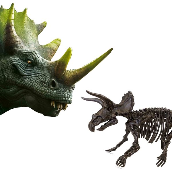 SES SES Skamielina dinoz.2w1 Triceratops 25093 50935