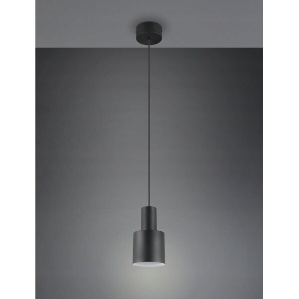 Lampa wisząca Trio LAMP PENDANT TRIO AGURO E27B