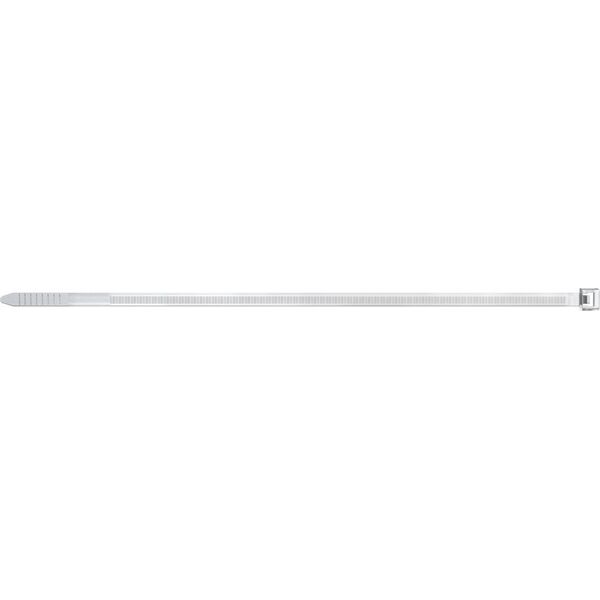 Fischer fischer BN 7.6 x 450, cable ties (transparent, 100 pieces)