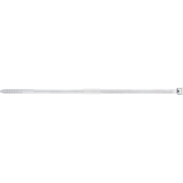 Fischer fischer BN 7.6 x 450, cable ties (transparent, 100 pieces)