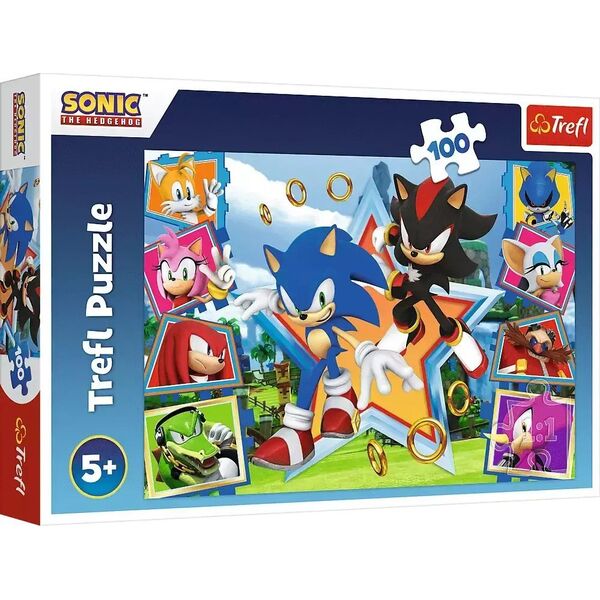 Trefl Puzzle 100 element?w Poznaj Sonica Sonic