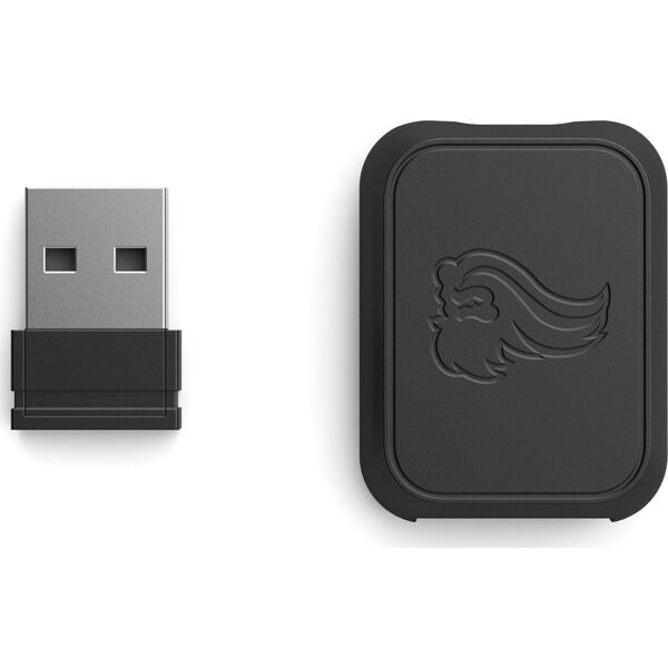 Adapter bluetooth Glorious PC Gaming Race Glorious PC Gaming Race Wireless Dongle Kit - schwarz, matt
