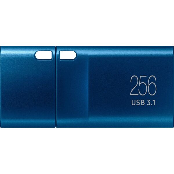 Pendrive Samsung Type-C, 256 GB  (MUF-256DA/APC)