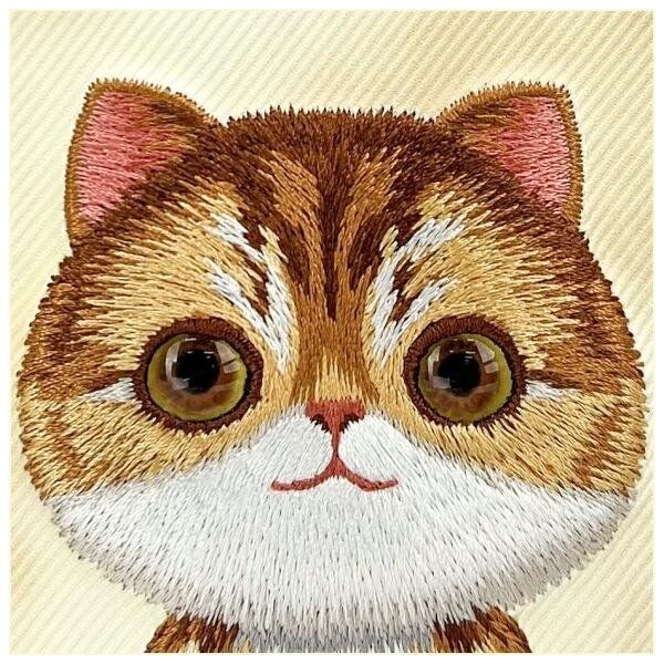 Nimmy case iPhone 16 6.1" khaki Big Eyed Pet 2.0 Cat