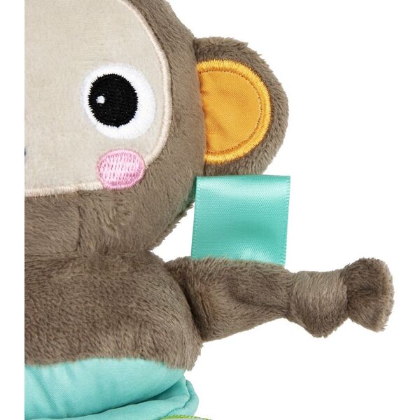 Bright Starts BRIGHT STARTS παιχνίδι μουσικής δραστηριότητας Pull, Play & Boogie, 13089 14234156 74451130890