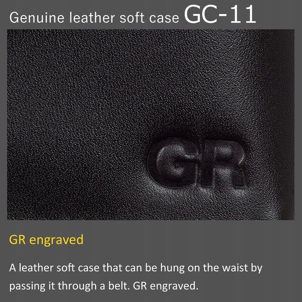 Ricoh case GC-11 (30485)