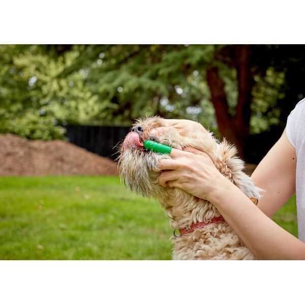 Dr. Best VETS BEST FINGER BRUSHES 5 τεμ 14104386 31658803835