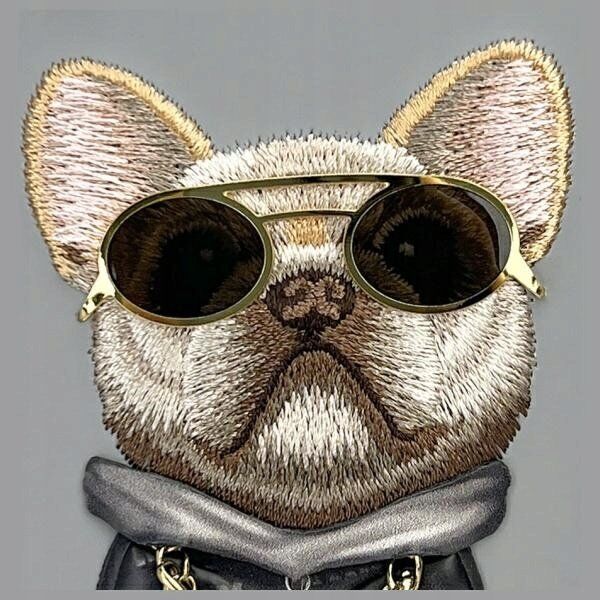 Nimmy iPhone 16 6.1" case gray/gray Glasses Cool Dog