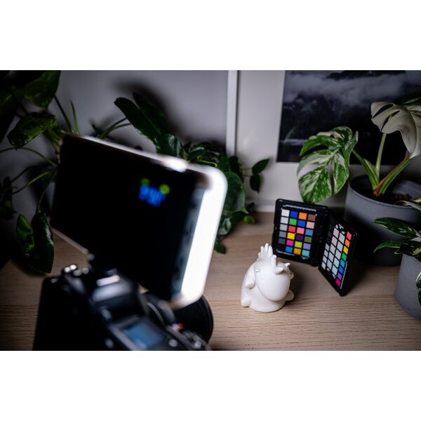 Newell NEWELL Dyfuzor do lampy LED RGB-W Rangha