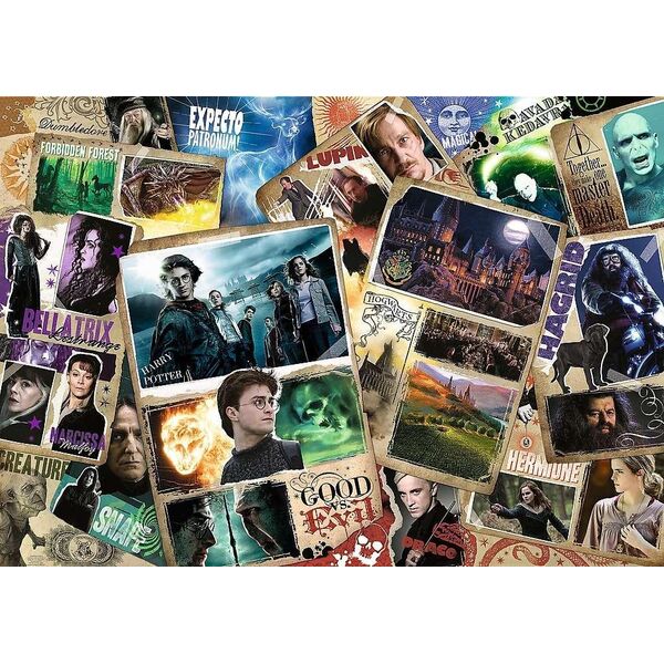 Trefl Puzzle Harry Potter Bohaterowie 2000 elementów