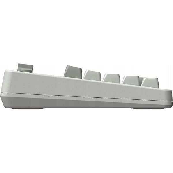 8Bitdo Pro2 Gamepad G Edycja Klasyczna