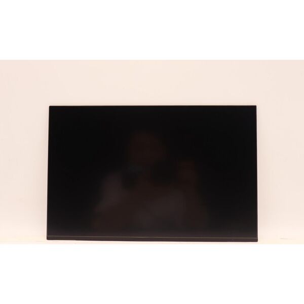 Lenovo DISPLAY INX 14.0 WUXGA AG LCLW