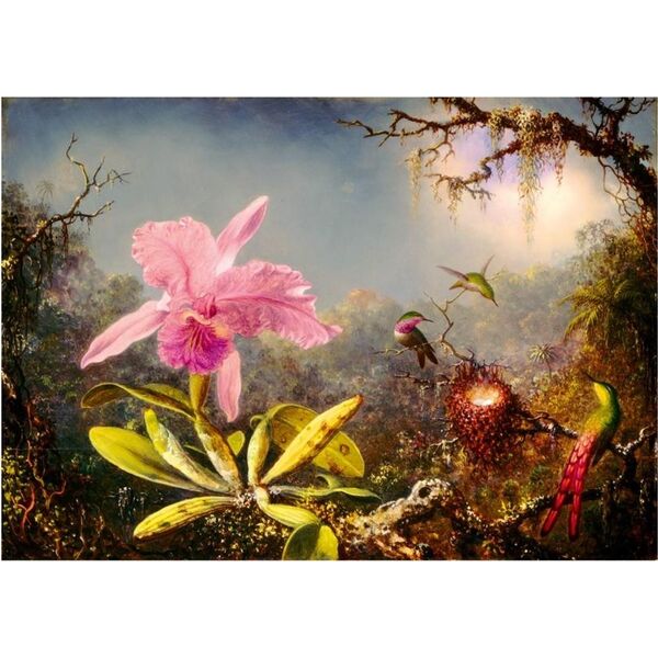 Bluebird Puzzle Puzzle 1000 Orchidea Cattleya i trzy kolibry