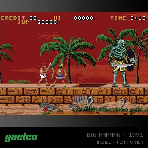 EVERCADE A6 - Zestaw gier Gaelco (Piko) Arcade 2