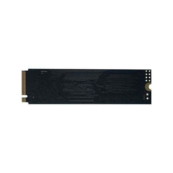 Dysk SSD Innovation IT Performance 256GB M.2 2280 PCI-E x4 Gen3 NVMe (00-256111)